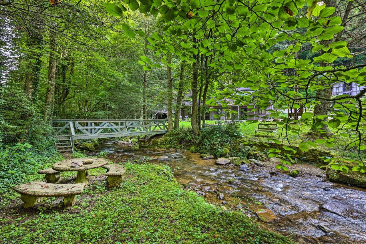 Roan Mountain Creekside Cabin Hike And Fish! Ngoại thất bức ảnh