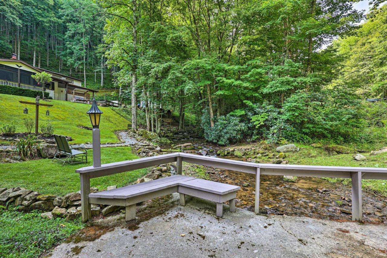 Roan Mountain Creekside Cabin Hike And Fish! Ngoại thất bức ảnh