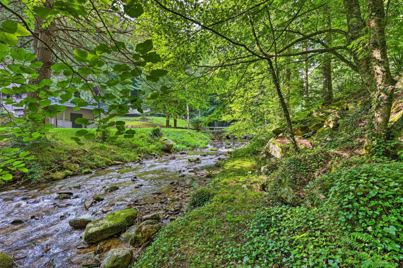 Roan Mountain Creekside Cabin Hike And Fish! Ngoại thất bức ảnh