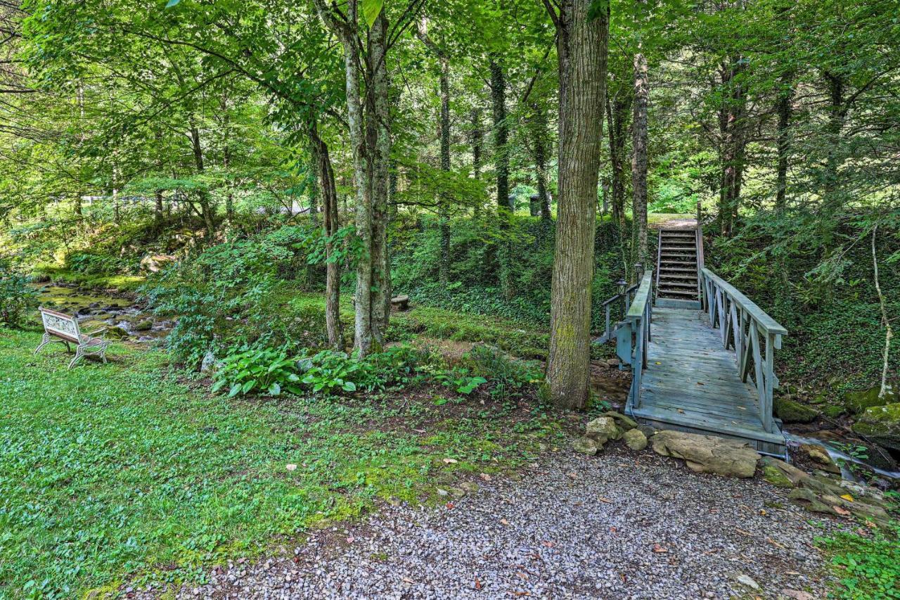 Roan Mountain Creekside Cabin Hike And Fish! Ngoại thất bức ảnh